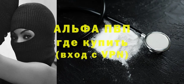 винт Ельня