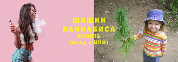 ешки Елабуга