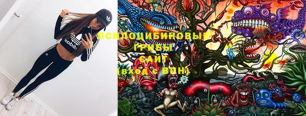 винт Ельня