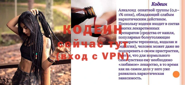 винт Ельня