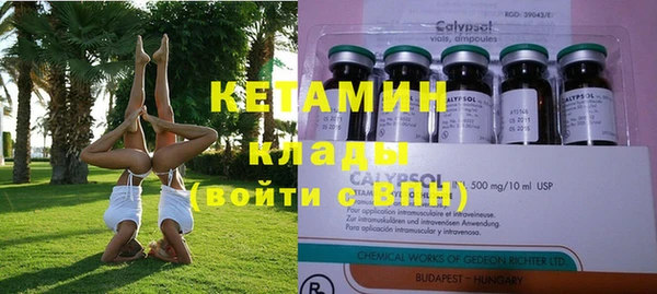 винт Ельня