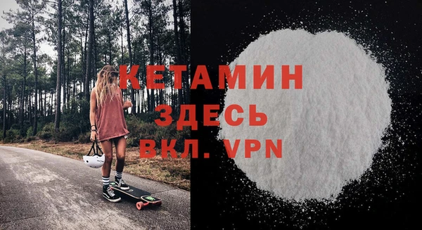 винт Ельня