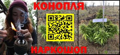 прущие грибы Балаково