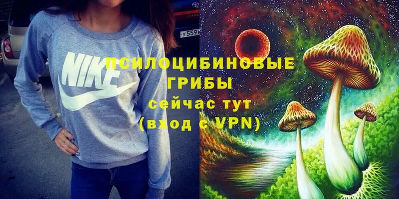 Псилоцибиновые грибы Magic Shrooms  Зеленокумск 