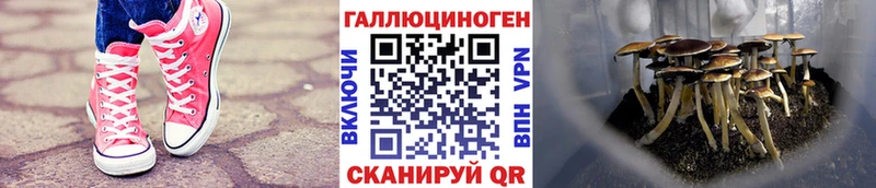 Галлюциногенные грибы MAGIC MUSHROOMS  Зеленокумск 