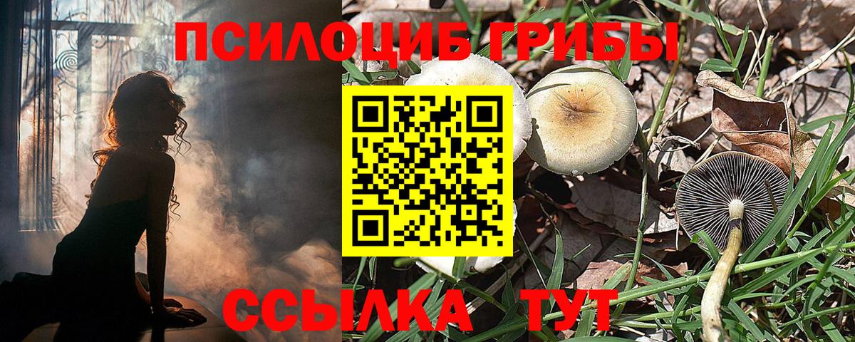 Галлюциногенные грибы Cubensis  Вход с VPN  Псилоцибиновые грибы ЛСД  Зеленокумск 